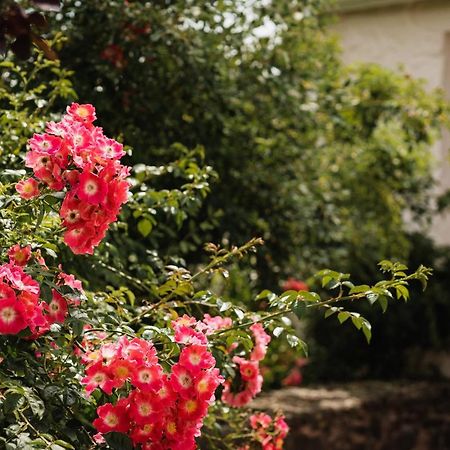 مبيت وإفطار تيفرتون Stoodleigh Court Coach House المظهر الخارجي الصورة